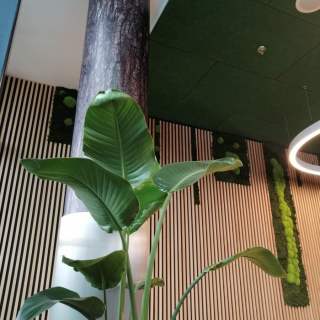Decoration-interieure-Decoration-sur-mesure-Projet-2.4