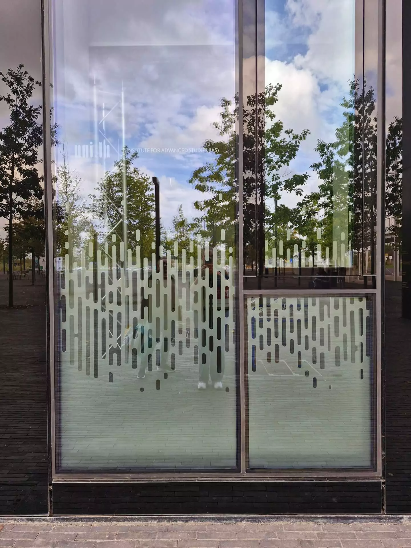 Habillage de vitrine au Luxembourg : dynamiser les commerces de détail